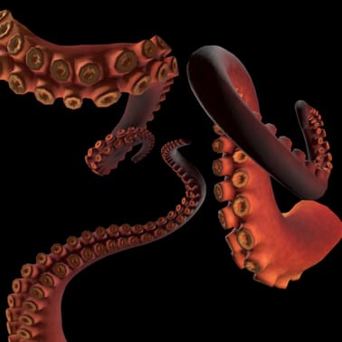 Tentacules 3D