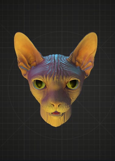 Chat Sphynx