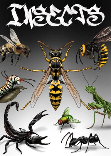 Insects PNG Brush Pack