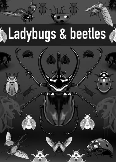 Ladybugs & Beatles Brush Pack
